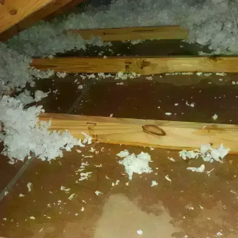 Attic Water Damage in Shannon, GA