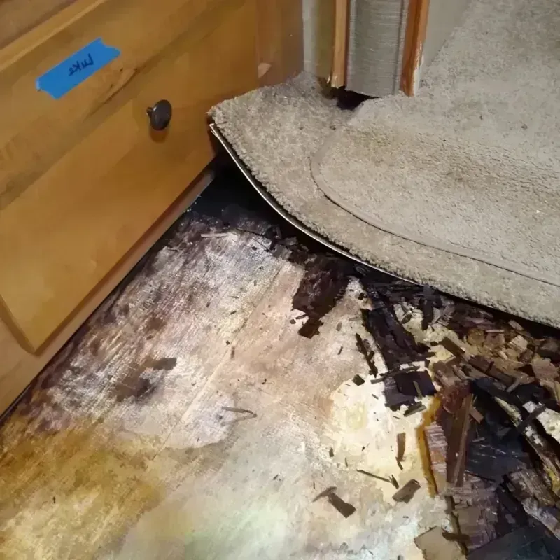 Wood Floor Water Damage in Shannon, GA